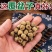 覆盆子中药材过筛陈货含量高浙江正品质量好不掺三月泡