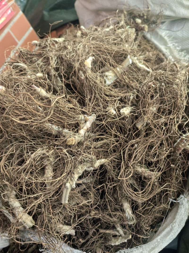 地胆头地胆头支持线上交易量大从优干净无泥