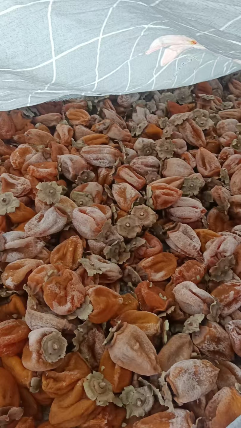 柿饼批发