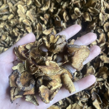 洋姜片