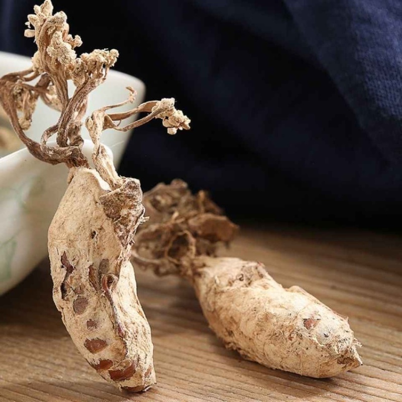 正宗大别山金蝉花野生虫草花竹林中药材野生无硫金蝉花虫草