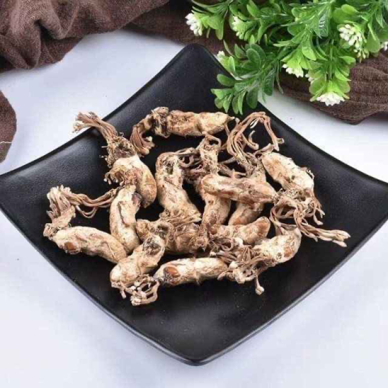 正宗大别山金蝉花野生虫草花竹林中药材野生无硫金蝉花虫草