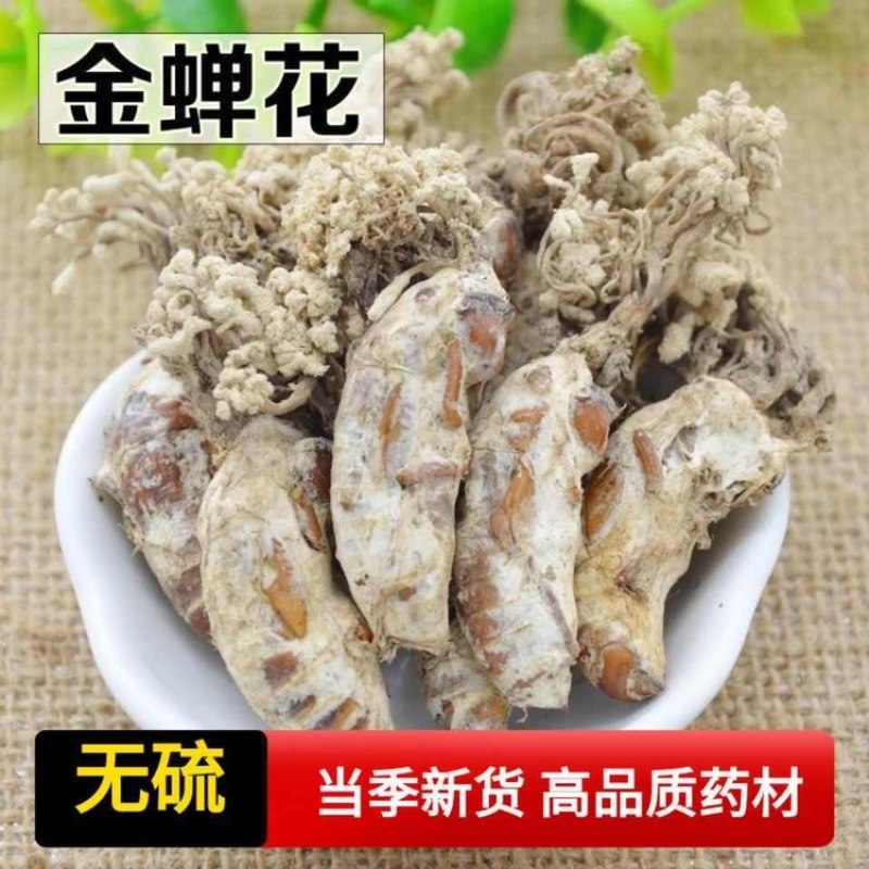 正宗大别山金蝉花野生虫草花竹林中药材野生无硫金蝉花虫草