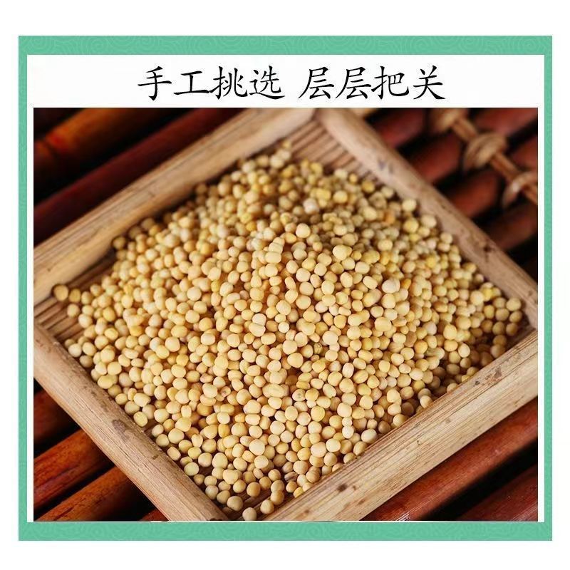 白芥子中药材正品白芥子辣菜子品质保证干净无杂
