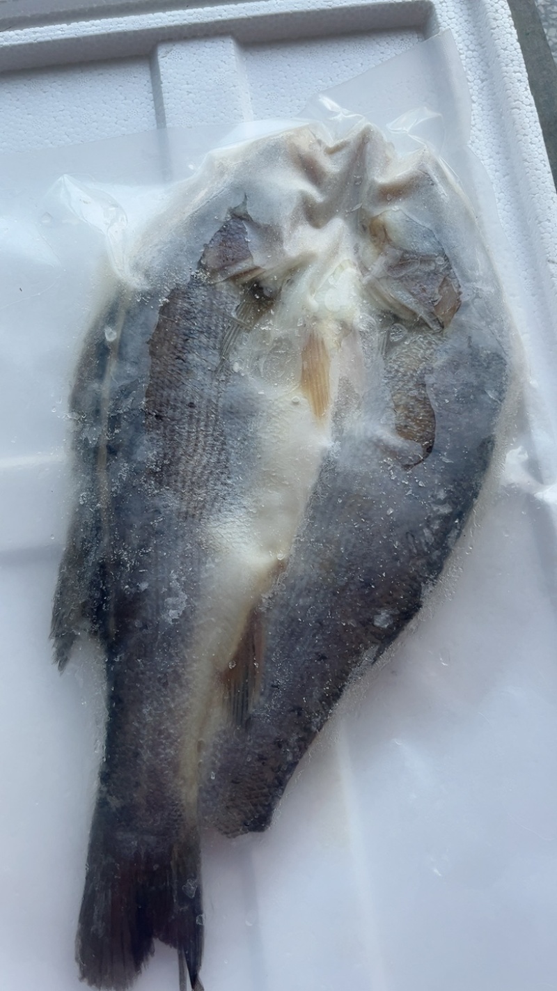 鲈鱼开背鲈鱼产地直发品质好餐饮酒店电商批发