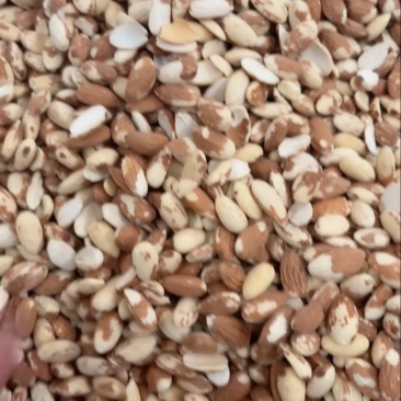 巴旦木仁脱衣巴旦木仁电商品大量现货坚果源头工厂直销