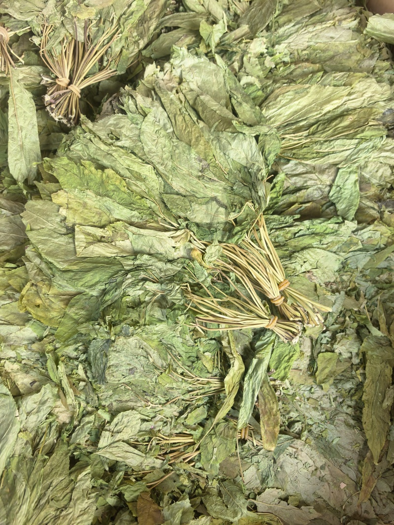 人参叶七叶子无硫新货中药材保质保量假一赔十