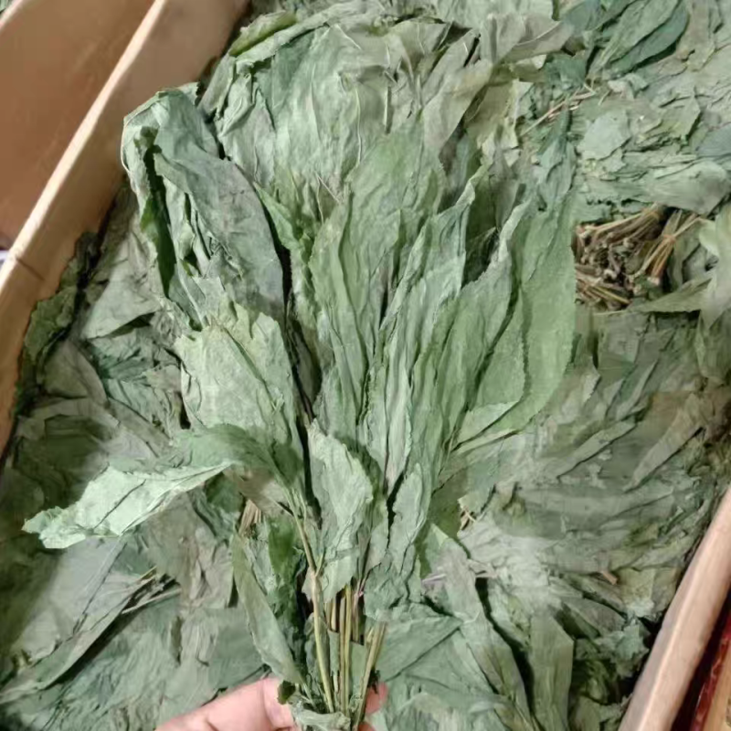 人参叶七叶子无硫新货中药材保质保量假一赔十