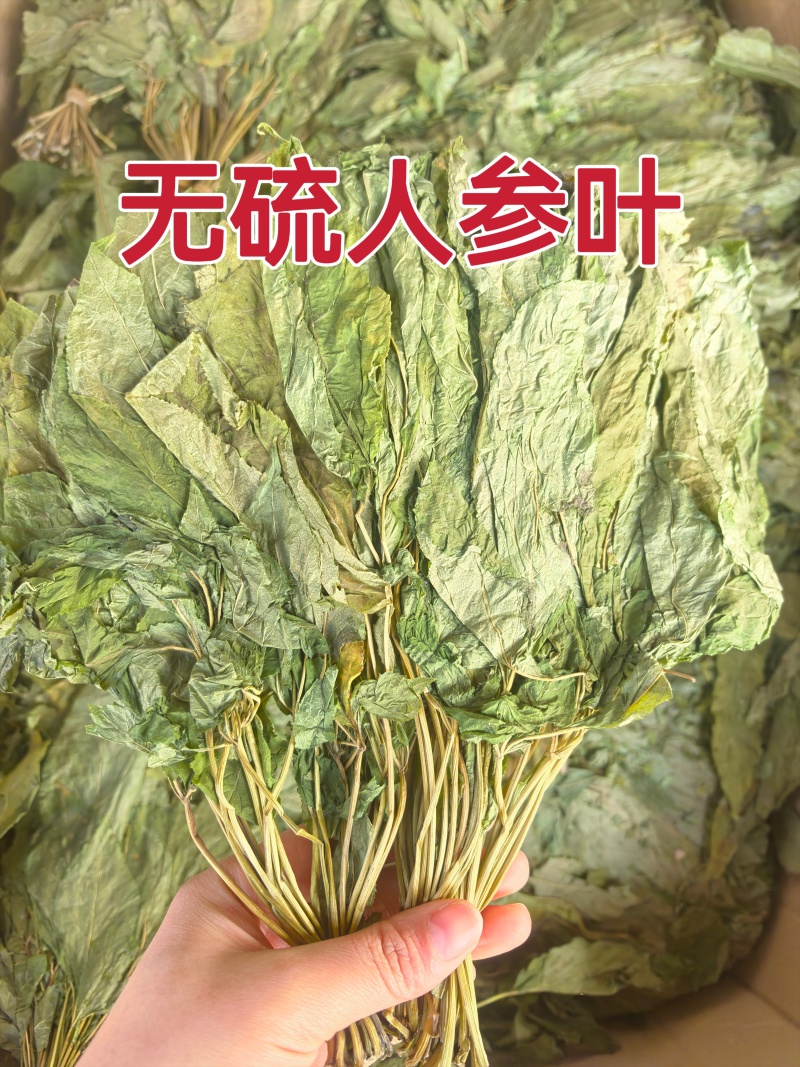 人参叶七叶子无硫新货中药材保质保量假一赔十