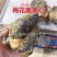 梅花鹿鹿心干鹿心可以磨粉保质保量诚信经营合作共赢