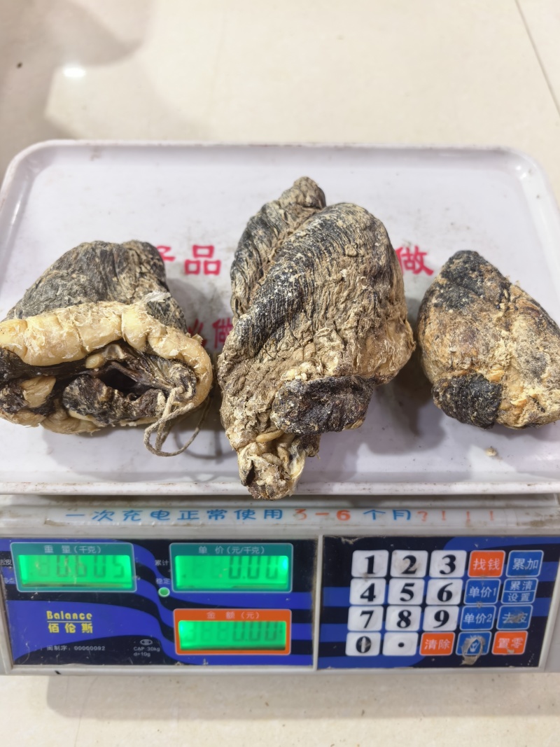 梅花鹿鹿心干鹿心可以磨粉保质保量诚信经营合作共赢