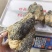 梅花鹿鹿心干鹿心可以磨粉保质保量诚信经营合作共赢