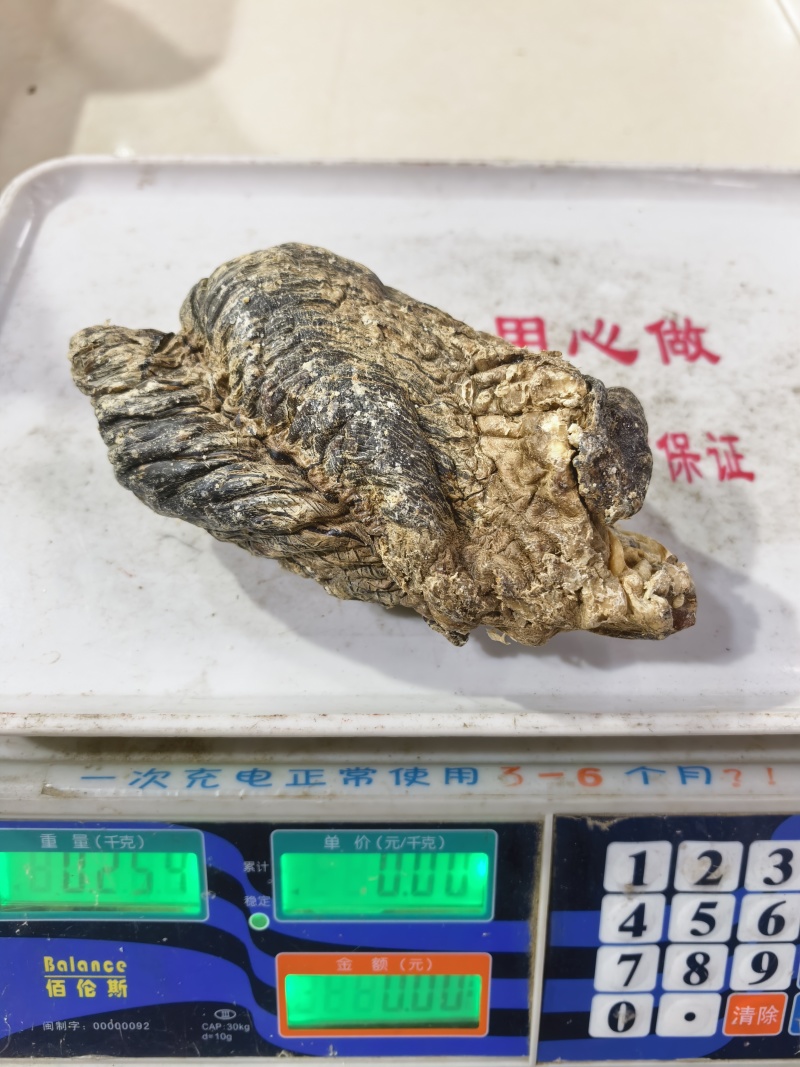梅花鹿鹿心干鹿心可以磨粉保质保量诚信经营合作共赢