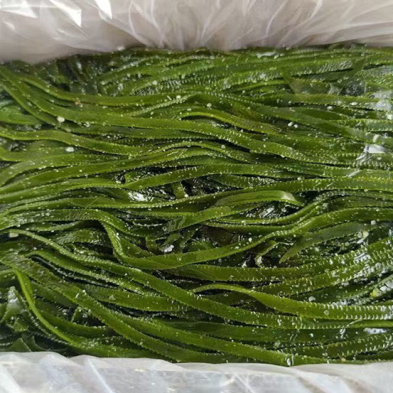 盐渍海带丝海带长丝盐渍海带丝厚新鲜凉拌火锅麻辣烫食材商用