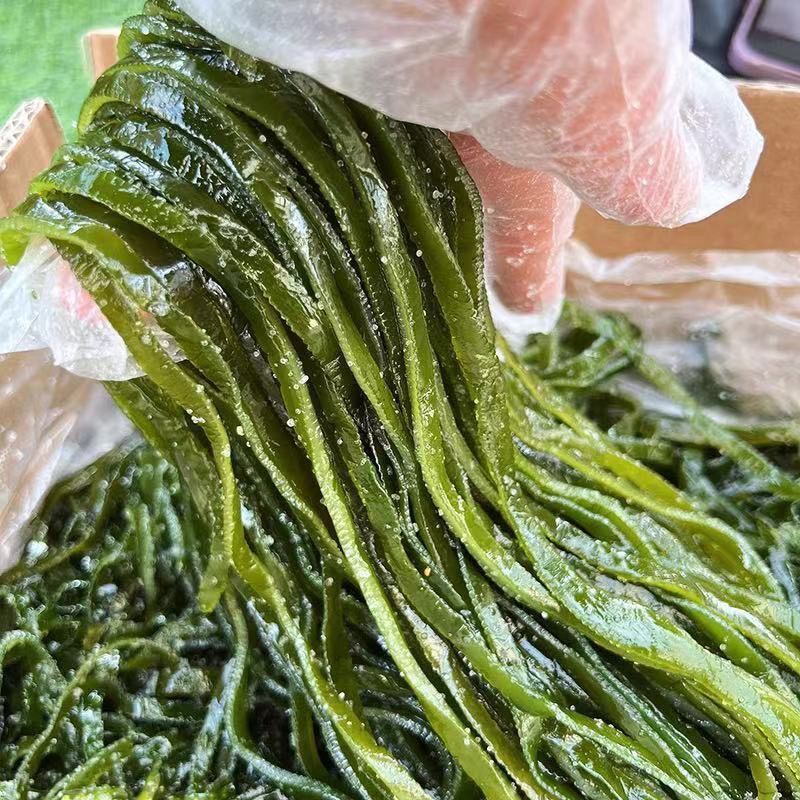 盐渍海带丝海带长丝盐渍海带丝厚新鲜凉拌火锅麻辣烫食材商用