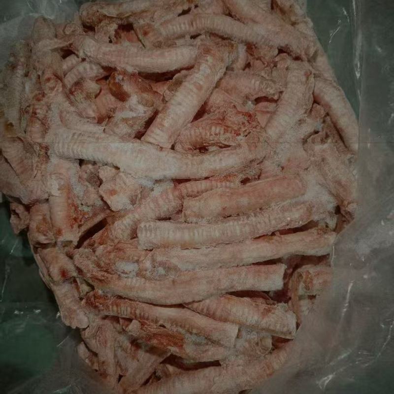 牛气管牛肺管