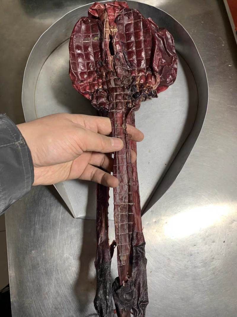 驴鞭干货整支驴肾大驴鞭保质保量男性滋补泡酒料