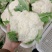 精品松花菜菜花花菜花面干净净菜无根白面青梗