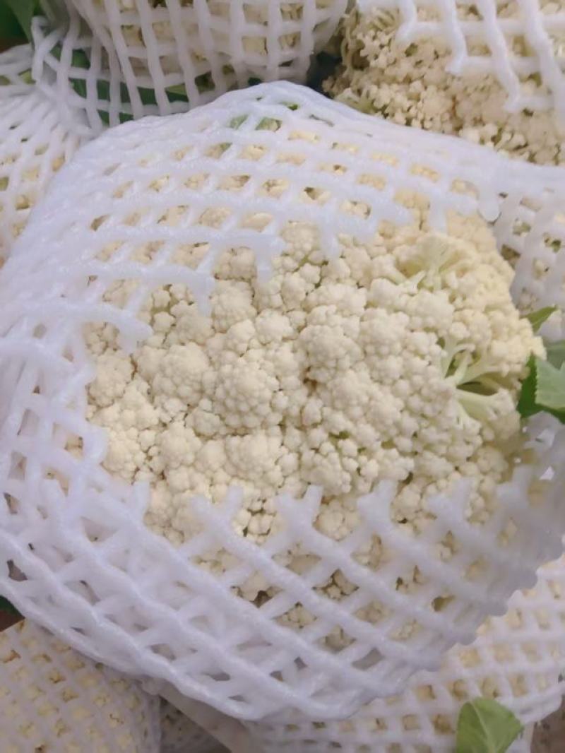 精品松花菜菜花花菜花面干净净菜无根白面青梗