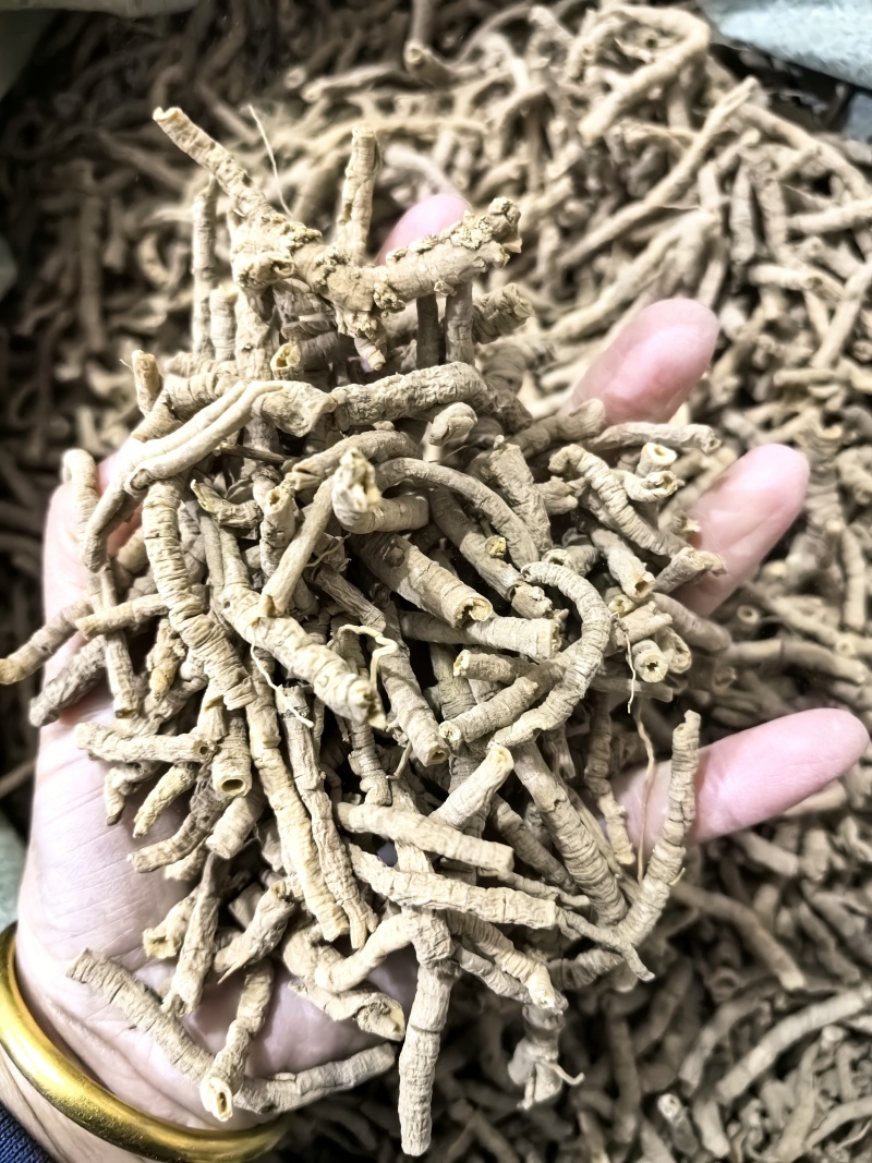 选货远志今年新货颜色好看实图拍摄当天下单当天发