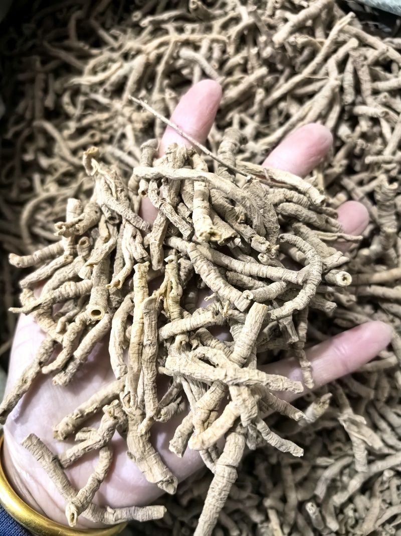 选货远志今年新货颜色好看实图拍摄当天下单当天发