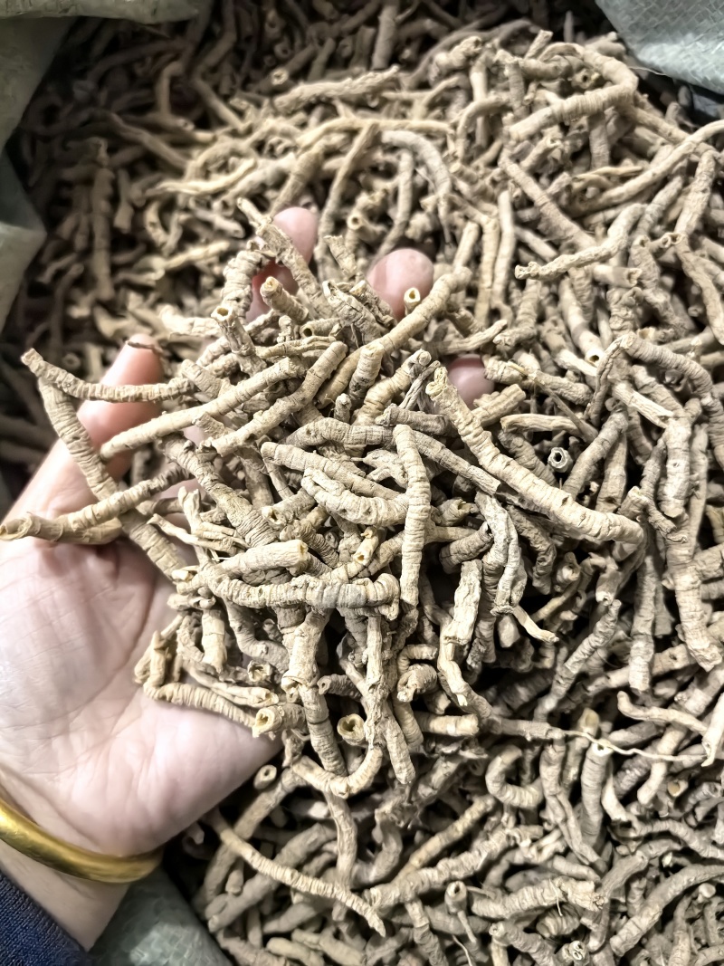 选货远志今年新货颜色好看实图拍摄当天下单当天发