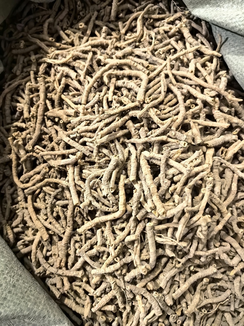 选货远志今年新货颜色好看实图拍摄当天下单当天发