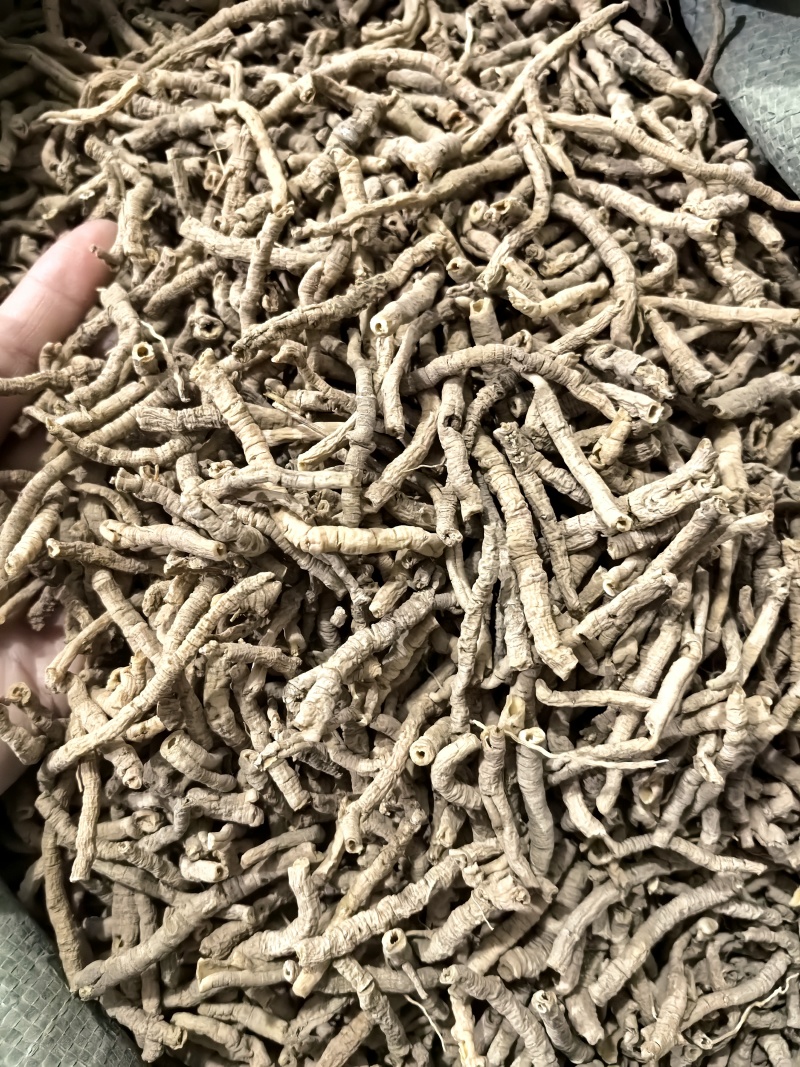 选货远志今年新货颜色好看实图拍摄当天下单当天发