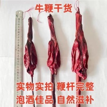 牛鞭干货整支大牛鞭男性滋补泡酒料保质保量假一赔