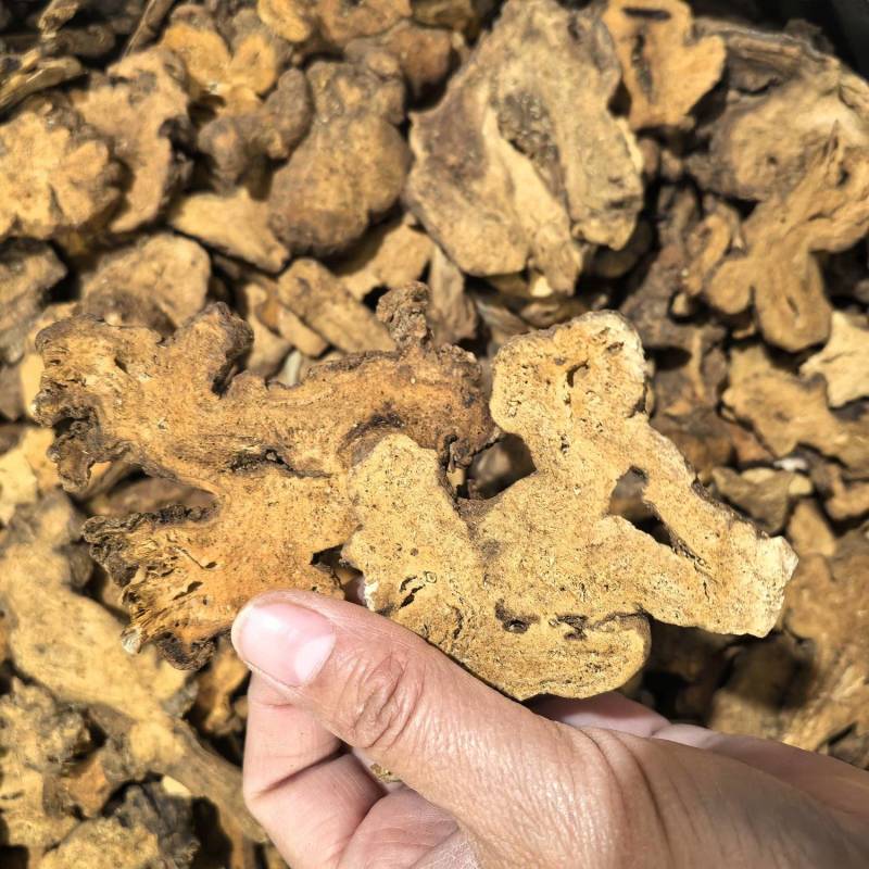 炒白术今年新货颜色好看实图拍摄当天下单当天发货