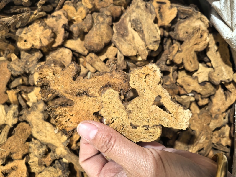 炒白术今年新货颜色好看实图拍摄当天下单当天发货