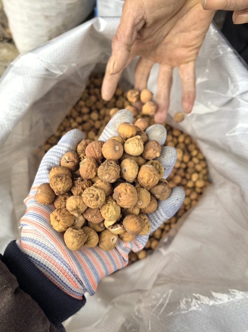 无花果今年新货颜色好看电商专用个头饱满实图拍摄