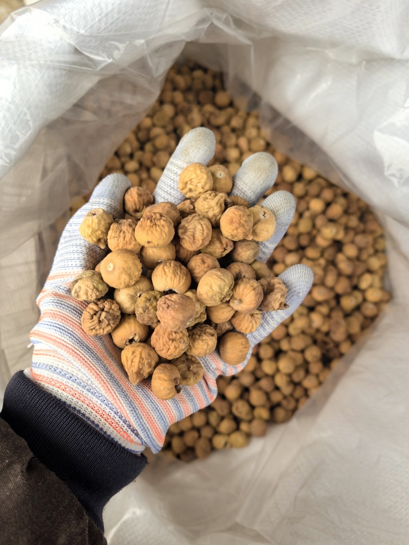 无花果今年新货颜色好看电商专用个头饱满实图拍摄