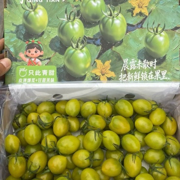 青甜2号寿光产区
