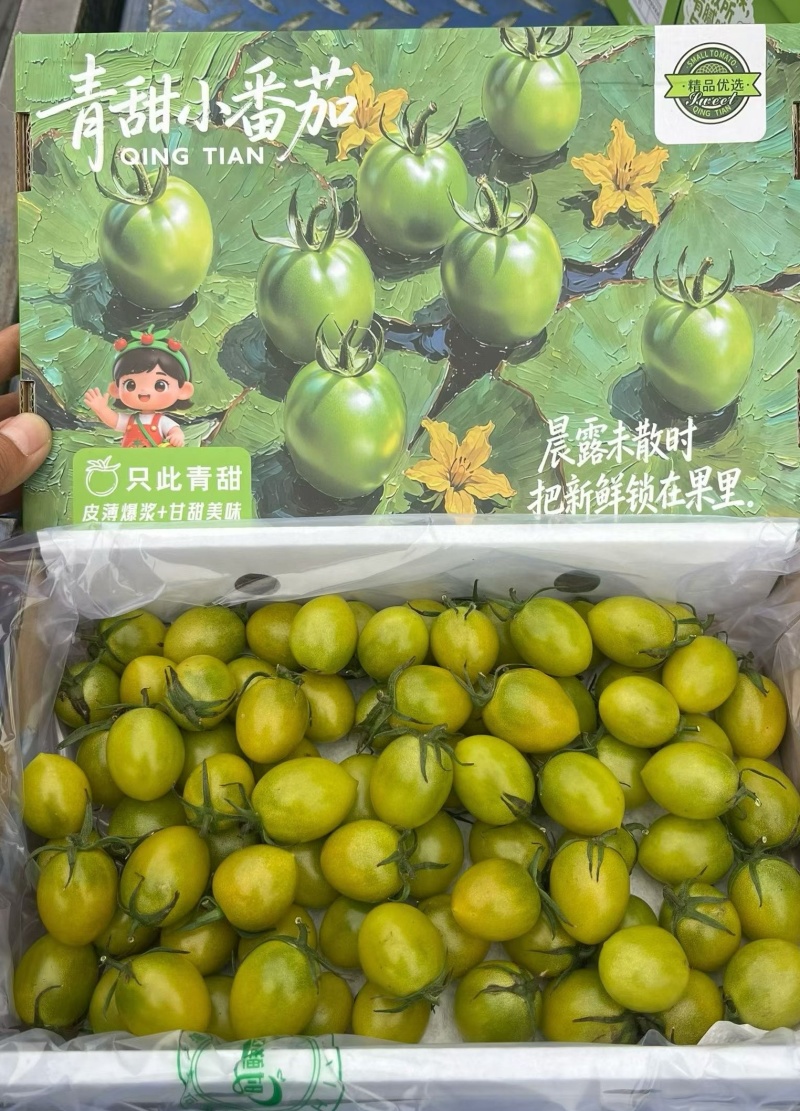 青甜2号寿光产区