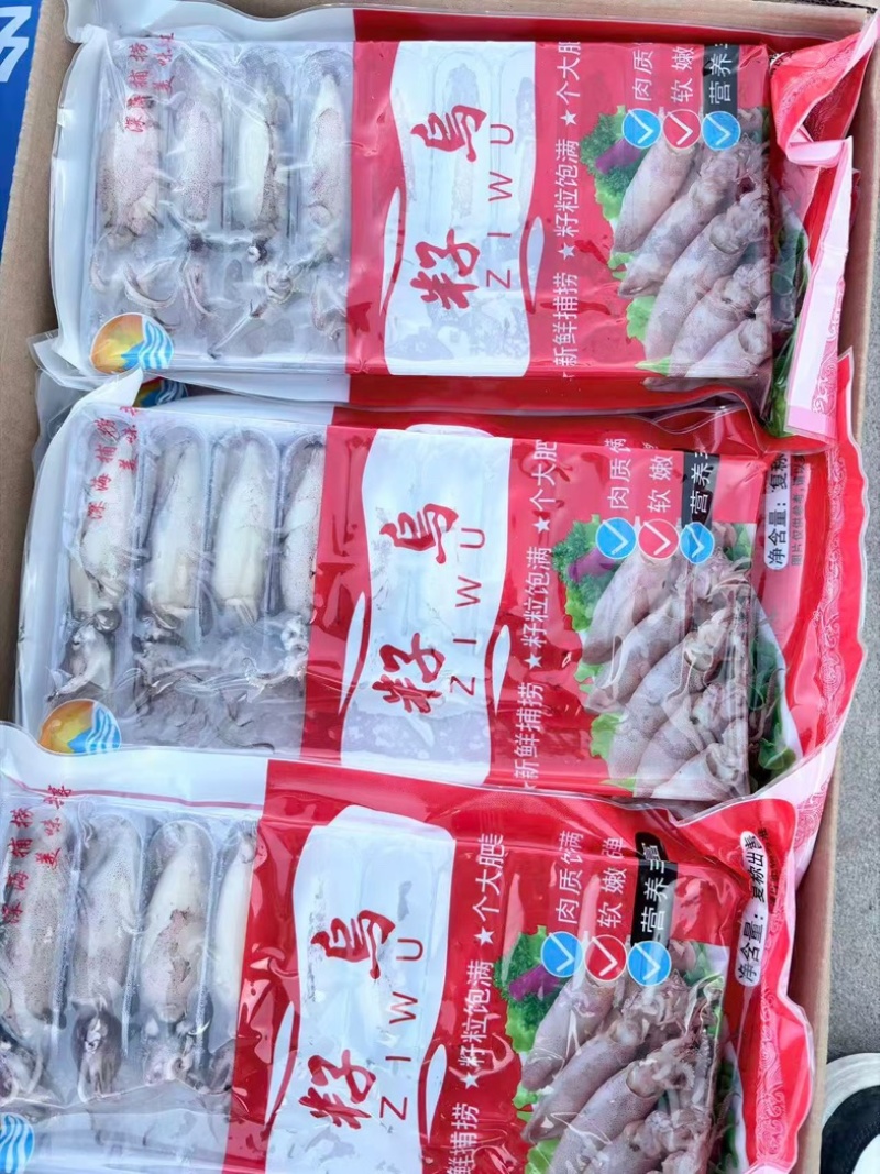 满籽籽乌，一箱5斤，辣炒，爆炒，涮火锅皆可