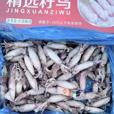 满籽籽乌，一箱5斤，辣炒，爆炒，涮火锅皆可