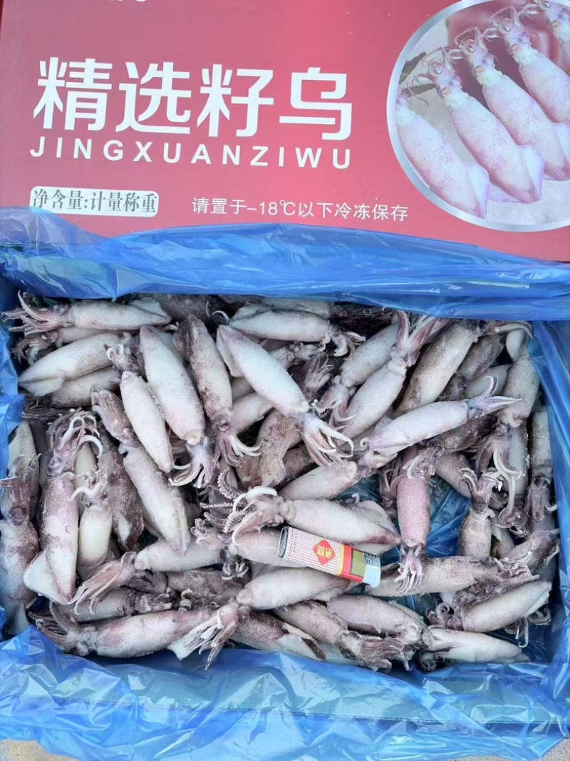 满籽籽乌，一箱5斤，辣炒，爆炒，涮火锅皆可