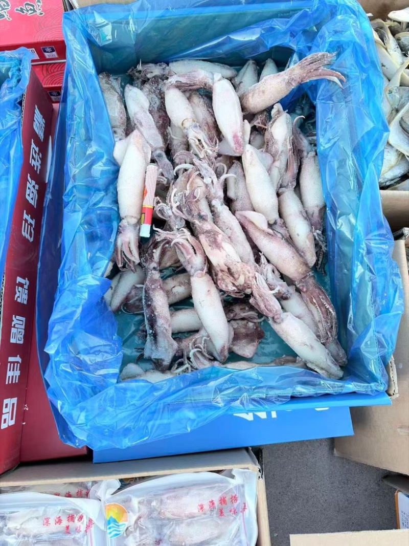 满籽籽乌，一箱5斤，辣炒，爆炒，涮火锅皆可