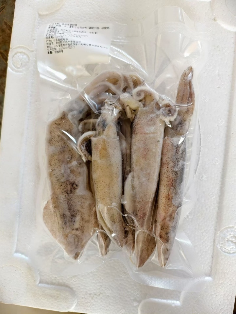 速冻笔管鱼，现货批发，一箱8斤，个头大，新鲜度**好