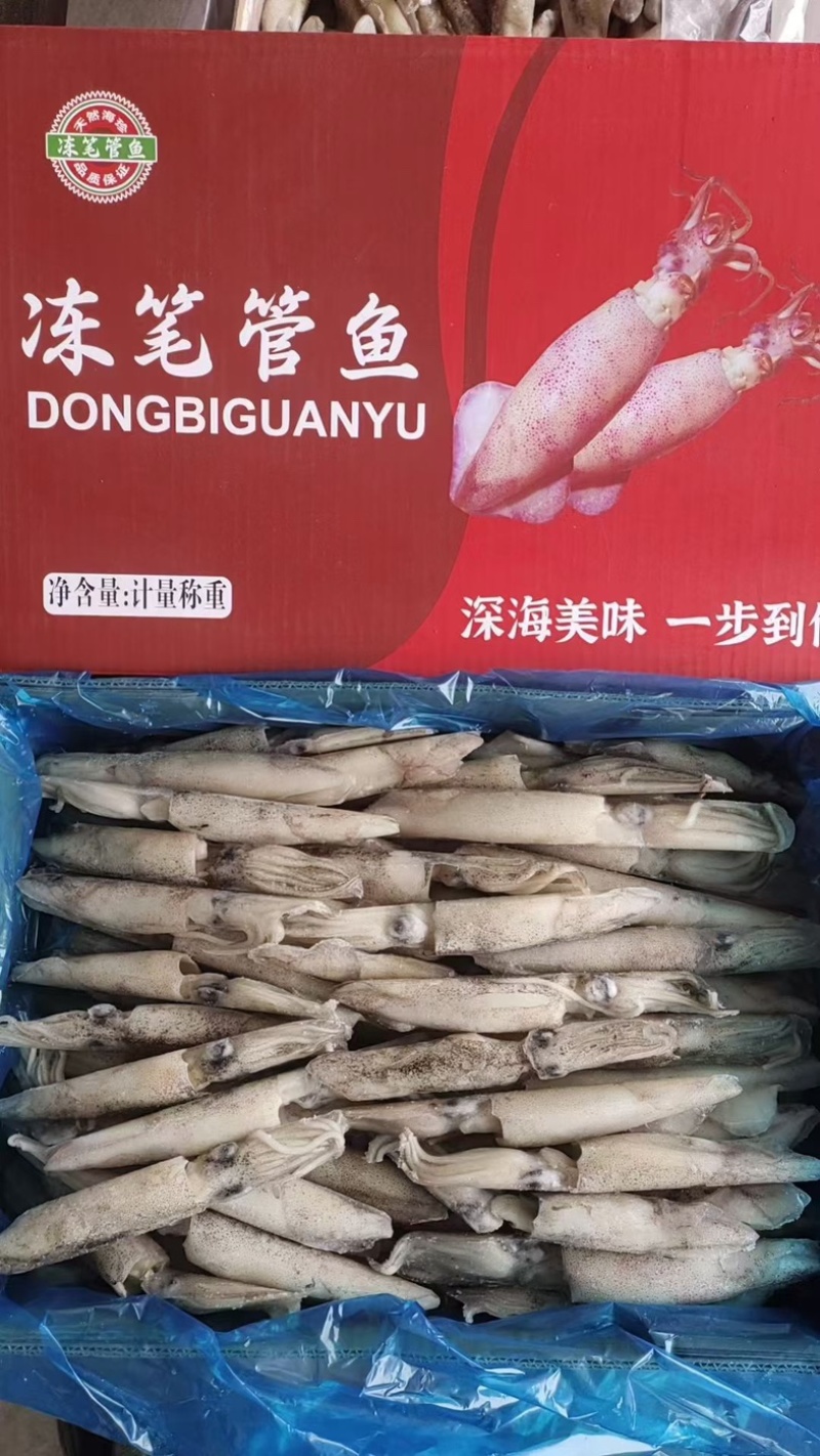 速冻笔管鱼，现货批发，一箱8斤，个头大，新鲜度**好