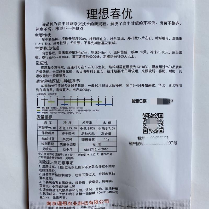 春丰牛心甘蓝种子早熟杂交结球紧实耐储运春秋甘蓝包菜种籽