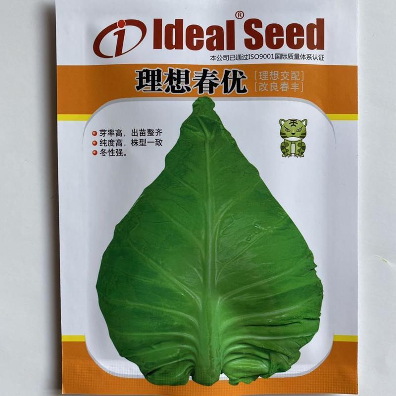 春丰牛心甘蓝种子早熟杂交结球紧实耐储运春秋甘蓝包菜种籽