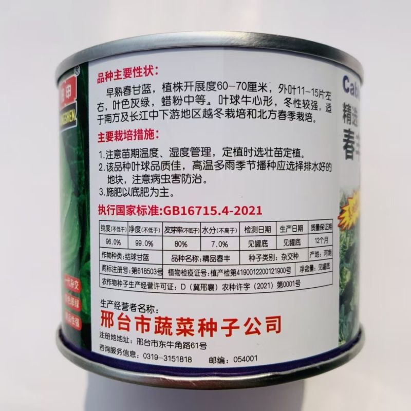 春丰牛心甘蓝种子早熟杂交结球紧实耐储运春秋甘蓝包菜种籽