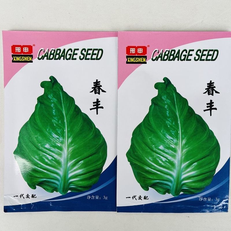春丰牛心甘蓝种子早熟杂交结球紧实耐储运春秋甘蓝包菜种籽