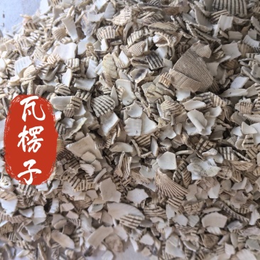 瓦楞子中药材矿石瓦楞子东弘药业一手货源现货供应中药材批发