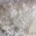 白帆中药材矿石白帆东弘药业一手货源现货供应中药材批发零售