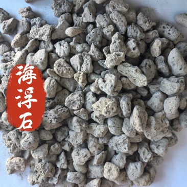 海浮石中药材矿石海浮石东弘药业一手货源现货供应