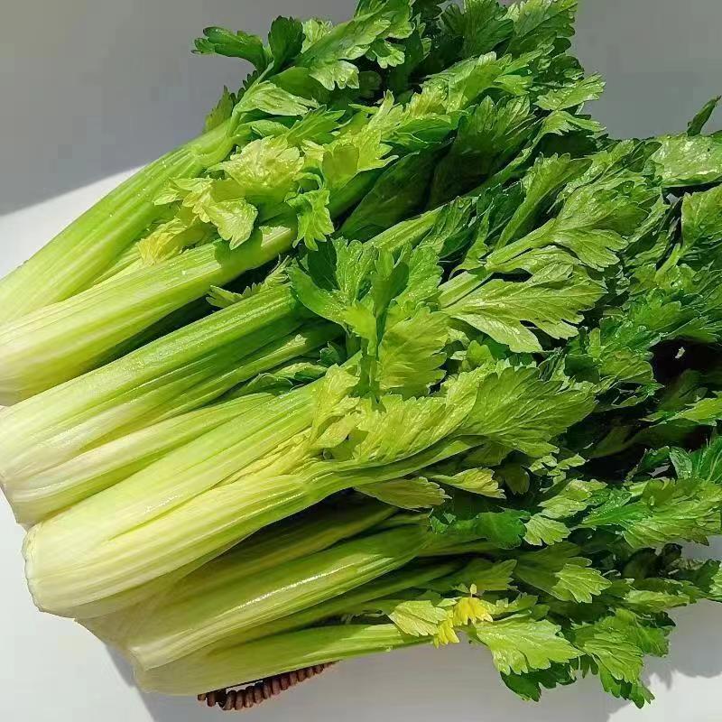 维康清芹芽