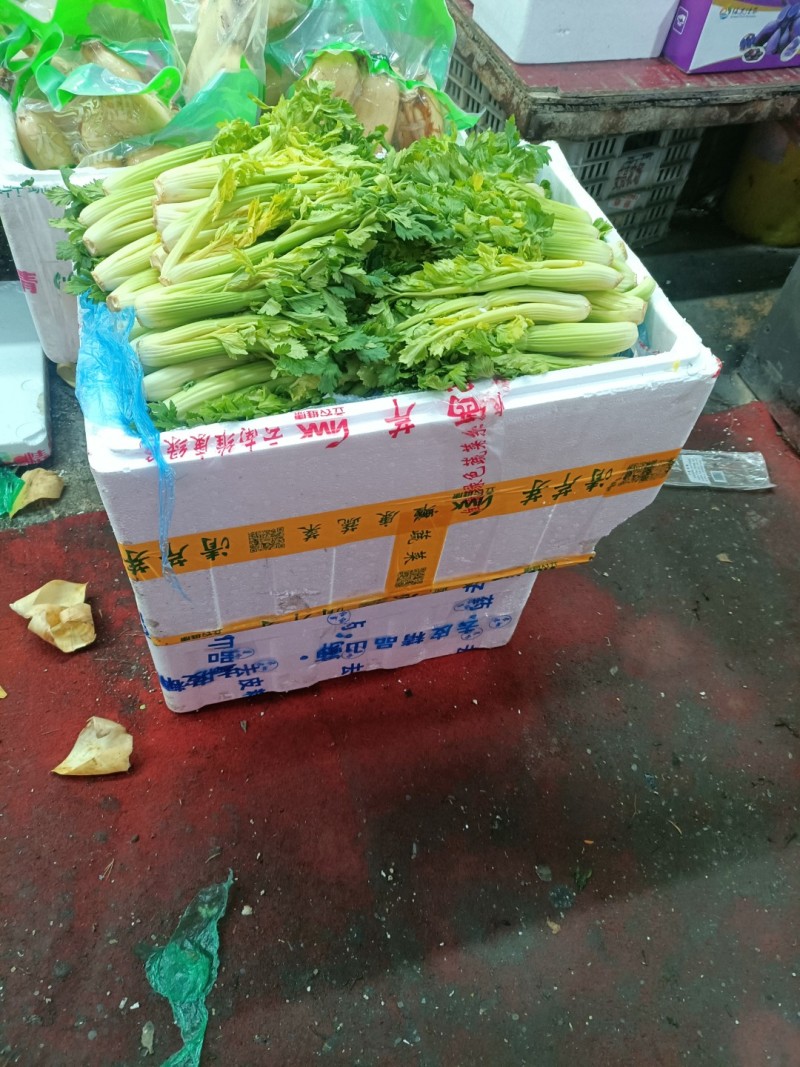 维康清芹芽